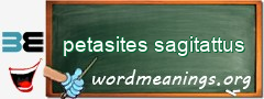 WordMeaning blackboard for petasites sagitattus